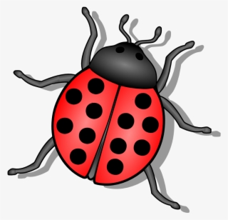 Lady Bug Svg Clip Arts 600 X 579 Px #541736