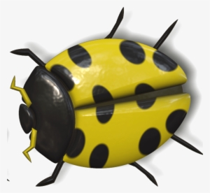 Animals - Yellow Ladybug Png #541878