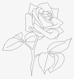 Rose Rose Outline Png - Ryuko Matoi #542006
