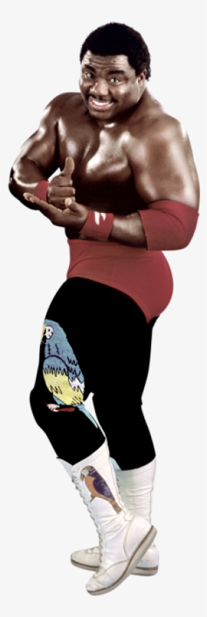 Koko B - Ware - Koko B Ware Png #542052