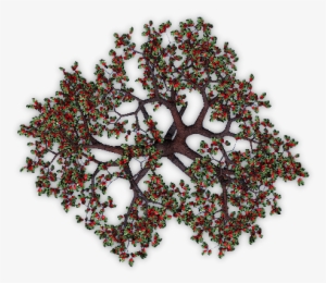 Appletree2 Blu - Craft #542665