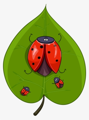 Funny Ladybugs - Ladybird Beetle #543080