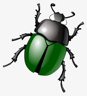 Download Png Image Bug #543102