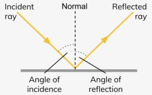 Diagram Of A Light Ray Being Reflected By - Diagram - Free Transparent ...