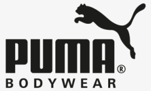 Adidas - Logo Of Sports Brand #543254