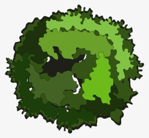 Jpg Royalty Free Library Clipart Big Image Png - Tree Clipart Top View Png #543366