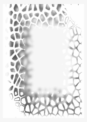 Photo Light Effects - Photography #543851