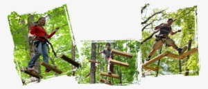 Explore Sevierville, Tn - Tree #543909