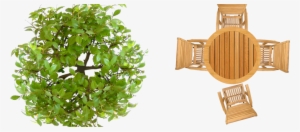Pics Photos Tree Plan View Photoshop Texture Png - Furniture Top View Png #544586