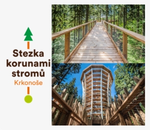 Tree Top Walkway In The Krkonoše Mountains - Canopy Walkway #544880