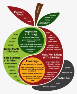 Kind Readers Have Translated The Perfect Health Diet - Healthy Diet #546150