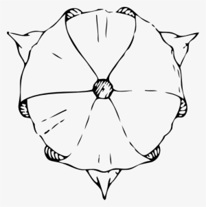 Free Vector Tulip Top View Clip Art - Tulips Drawing Top View #546219