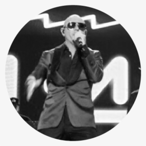 Pitbull - Pit Bull #546703