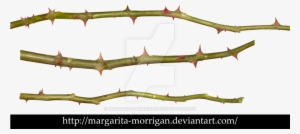 Rose Thorns Png #547473