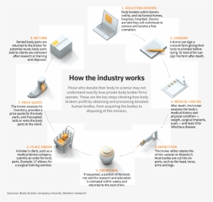 “it's A Kind Of Treatment That Would Have Never Come - Human Body #547565