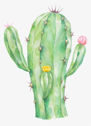 Radiation Proof Cactus Png Transparent - Cactus Png #548729