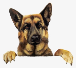 Funny German Shepherd Cartoon Picture - German Shepherd Clip Art #549915