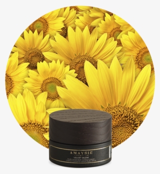 Velvet Glow #5405106