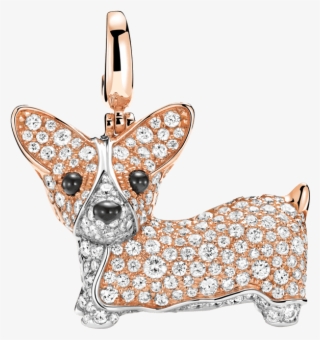 Chihuahua #5405512