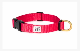 Dog Bone Snap Collar Punch 11"-14" Small - Dog #5406116