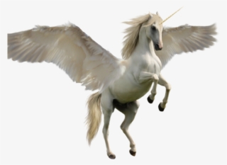 Unicorn Png Transparent Images - Unicorns With Wings #5406348