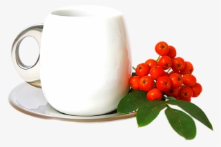 Coffee Cup Transparent Images, Green Tea Png Images #5409412
