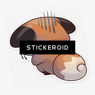 Very Light Smoke Cloud - Duke Nukem Forever Box Art #5413796