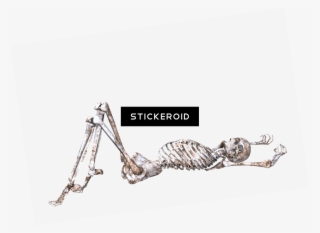 Skeleton Hand In Front Of Chest - Illustration #5414750