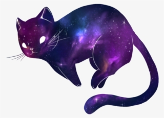 Anime Animecat Galaxy Galaxycat Kawaiicat Kawaii Cute #5415777