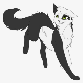 Deviantart Riverspirit456 Black And White Cat #5415991