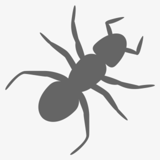 Ants Vector Transparent Background Picture Transparent - Ant Clip Art #5417058