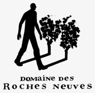 Loire Reds, Consisting Mostly Of Cabernet Franc, But - Domaine Des Roches Neuves Logo #5417122