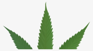 Cannabis Leaf #5418658