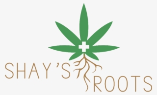Shay S Roots - Mexico City #5419173