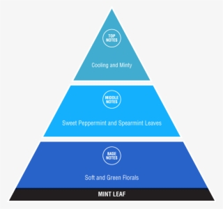 Mint Leaf - Social Classes #5420222
