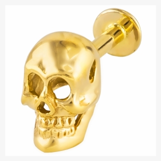 14g Solid 14k Yellow Gold Skull Labret Lip Ring Monroe - Labret Gold Jewelry #5420349