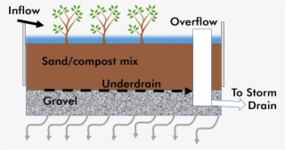 Green Infrastructure Illustrative Cross-section Of - Green Infrastructure #5421169
