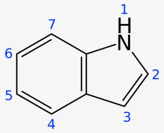 Indole Ring #5421229