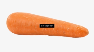 Big Carrot - Baby Carrot #5421932