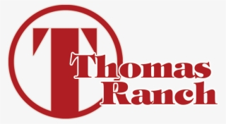 Contact - Tray Card Holder - 3/4"h - Pkg Qty 72 #5422713