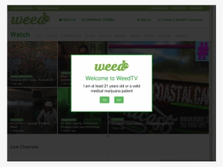 Website History - Parallel #5423502