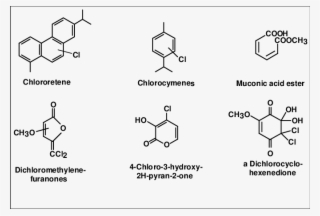 New Organic Substances Identified In Effluent From - Diagram #5424920