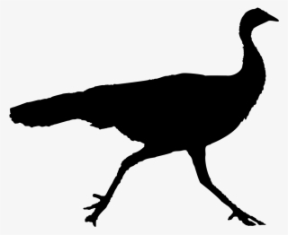 Wild Turkey Silhouette - Clip Art #5425176