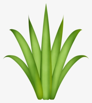 Фотки Flower Clipart, Leaf Template, Tree Leaves, Paper - Aloe Vera Plant Drawing #5426295