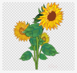 Sunflower Png Clipart Clip Art - Yellow Flower Clip Art #5428060