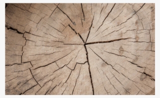 Broken Wood Png Banner Black And White Library #5429600