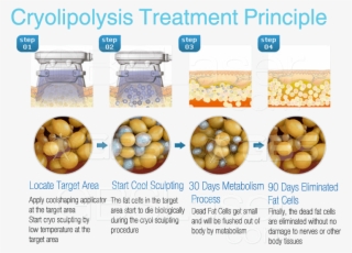 Best Coolsculption / Cryo Vacuum Cool Shape Body Slimming - Fat Cell Apoptosis #5430006