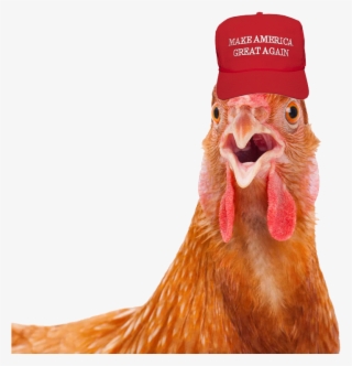 2mib, 840x768, Rooster With Maga Hat - Moreconsole Chicken #5431560