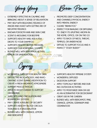 Ylang Ylang Brain Power Extremely Effective In Calming - Ylang-ylang #5432170