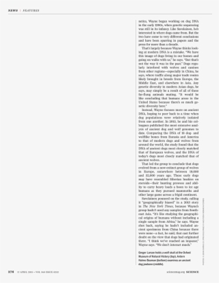 What - Declaratoir Aan De Vroedschap Van Amsterdam, 1794 #5432513